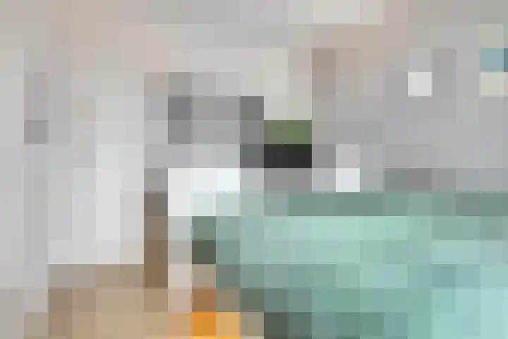 Hertog Jan I Laan 48 Eindhoven thumbnail 27