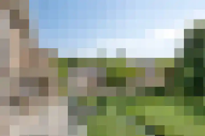 Hertog Jan I Laan 48 Eindhoven thumbnail 34