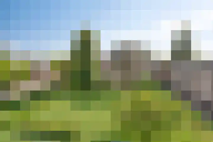 Hertog Jan I Laan 48 Eindhoven thumbnail 35