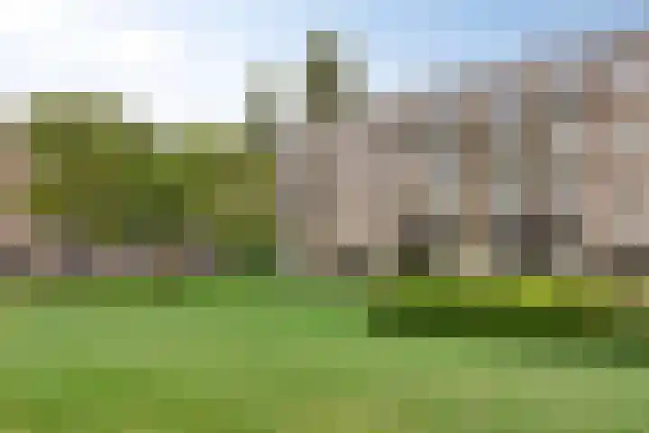 Hertog Jan I Laan 48 Eindhoven thumbnail 38