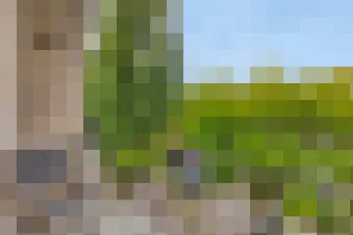 Hertog Jan I Laan 48 Eindhoven thumbnail 4