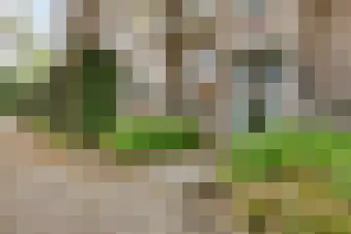 Hertog Jan I Laan 48 Eindhoven thumbnail 7