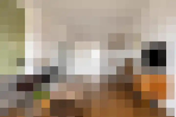 Hertog Jan I Laan 56 Eindhoven thumbnail 14