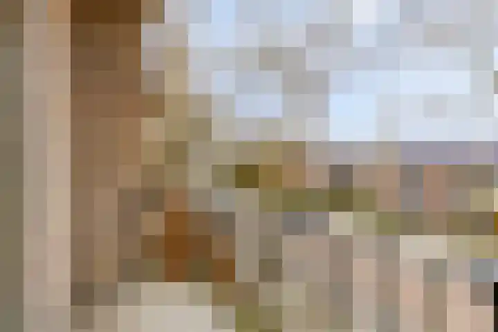 Hertog Jan I Laan 56 Eindhoven thumbnail 16