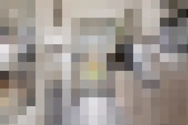Hertog Jan I Laan 56 Eindhoven thumbnail 18