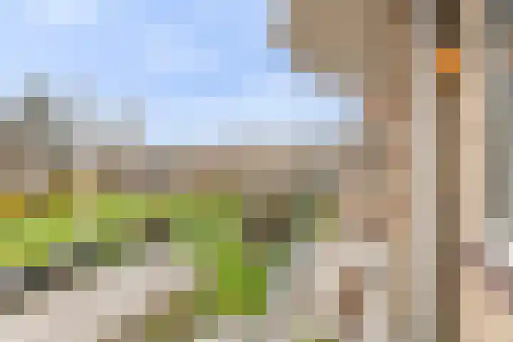 Hertog Jan I Laan 56 Eindhoven thumbnail 23