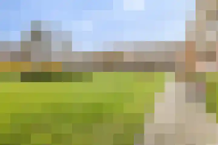 Hertog Jan I Laan 56 Eindhoven thumbnail 38