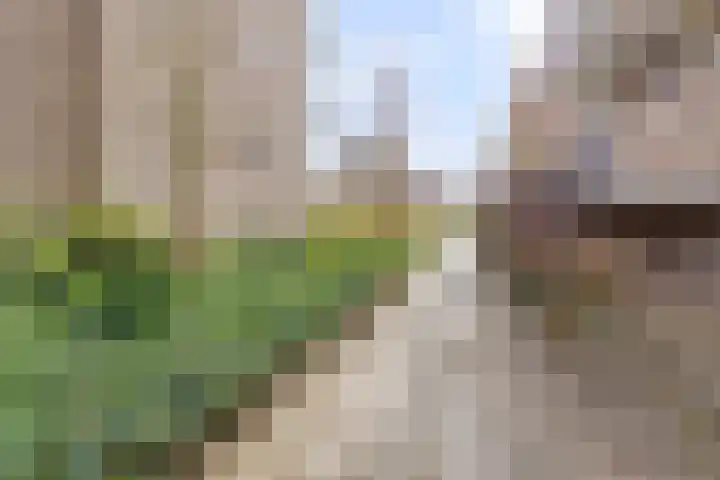Hertog Jan I Laan 56 Eindhoven thumbnail 39
