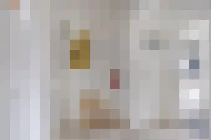 Hertog Jan I Laan 56 Eindhoven thumbnail 5