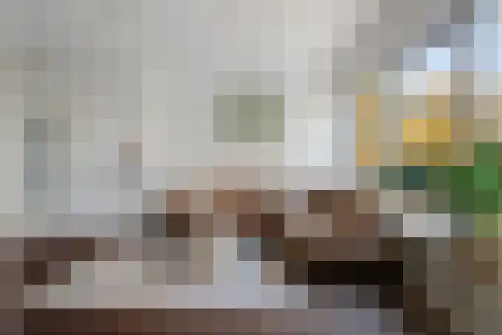 Hertog Jan I Laan 58 Eindhoven thumbnail 13