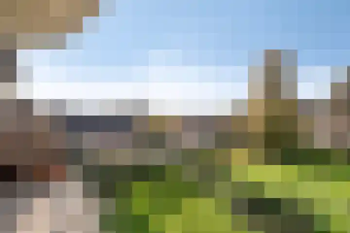 Hertog Jan I Laan 58 Eindhoven thumbnail 30