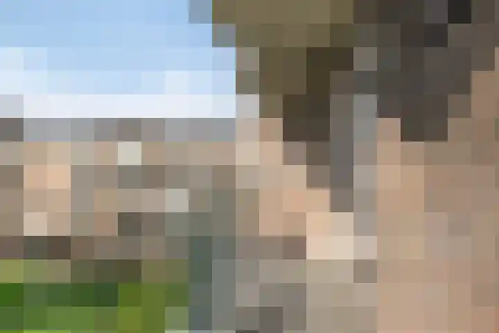 Hertog Jan I Laan 58 Eindhoven thumbnail 31