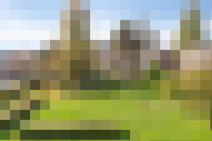 Hertog Jan I Laan 58 Eindhoven thumbnail 32