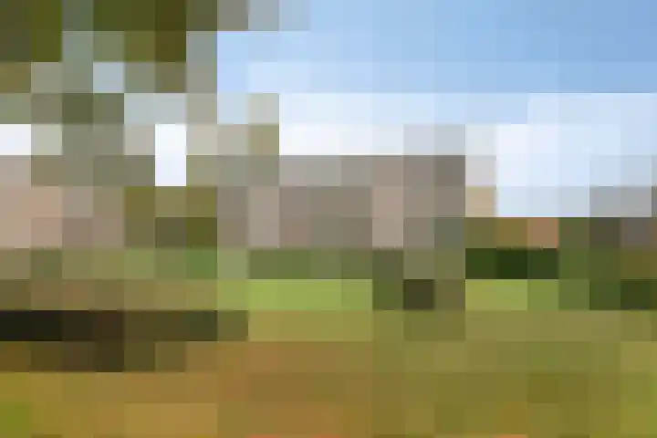 Hertog Jan I Laan 58 Eindhoven thumbnail 5