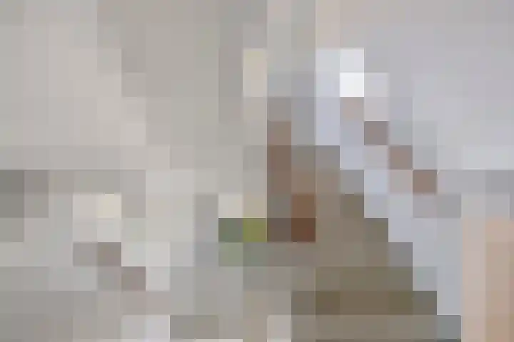 Hertog Jan I Laan 58 Eindhoven thumbnail 7