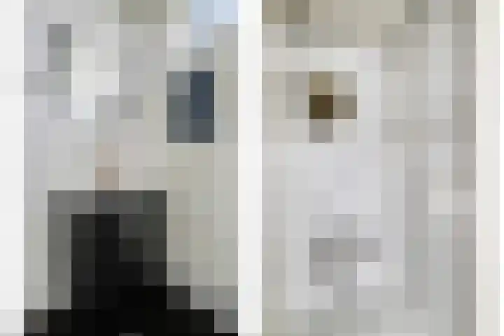 Hertog Jan I-straat 1 Oss thumbnail 19