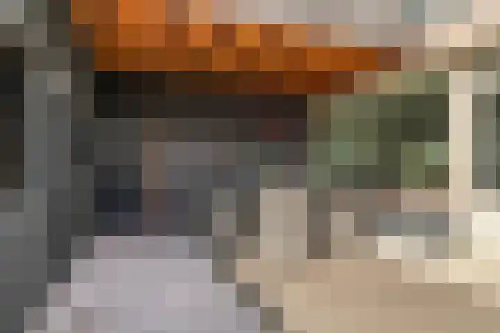 Hertog Jan I-straat 1 Oss thumbnail 27