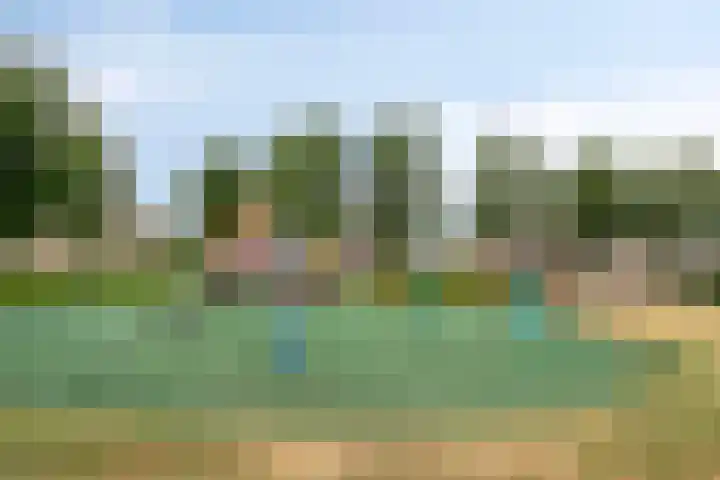 Hertog Jan I-straat 1 Oss thumbnail 31