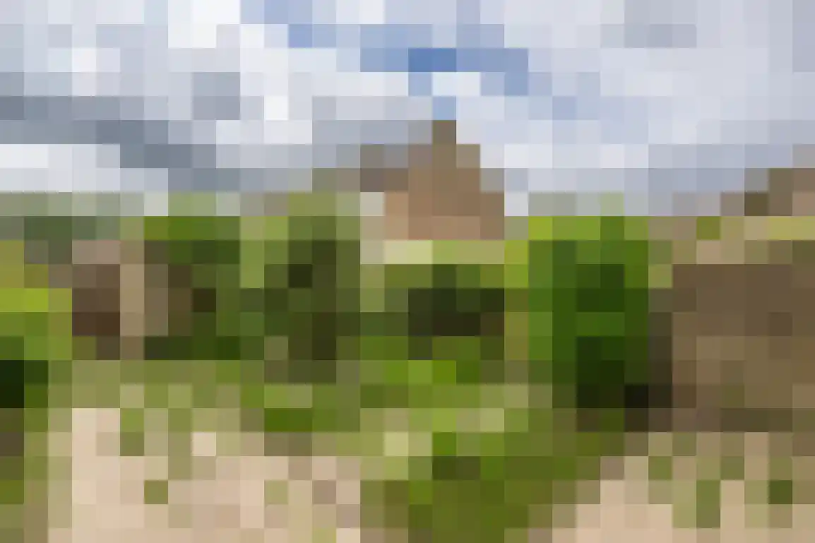Hertog Jan van Beierenlaan 38 Nieuwe-Tonge thumbnail 22