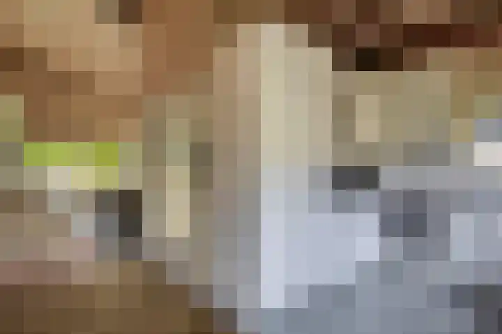 Hertog Jan van Beierenlaan 59 Nieuwe-Tonge thumbnail 10