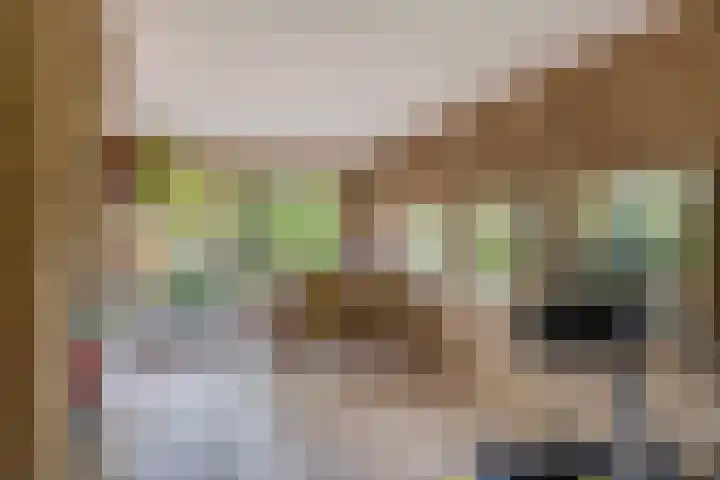 Hertog Jan van Beierenlaan 59 Nieuwe-Tonge thumbnail 16