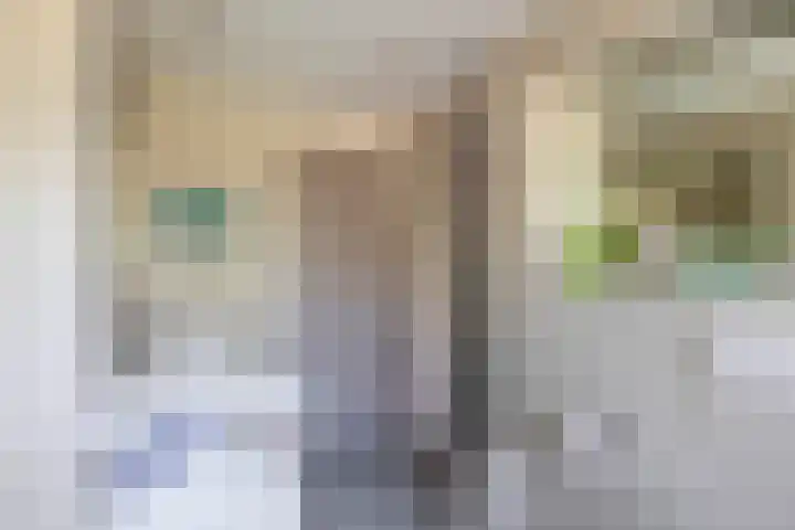 Hertog Jan van Beierenlaan 59 Nieuwe-Tonge thumbnail 20