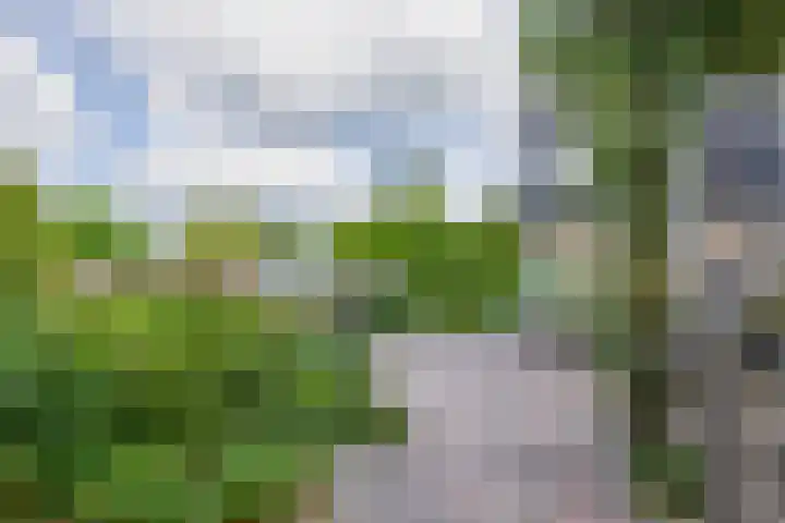 Hertog Jan van Beierenlaan 59 Nieuwe-Tonge thumbnail 33