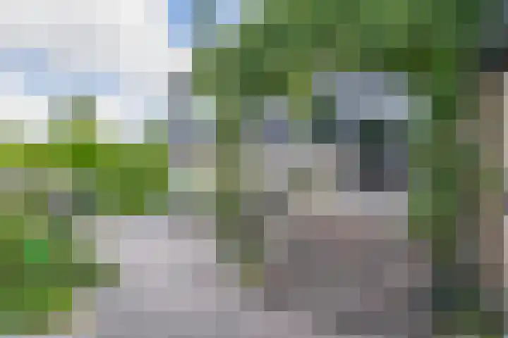 Hertog Jan van Beierenlaan 59 Nieuwe-Tonge thumbnail 34
