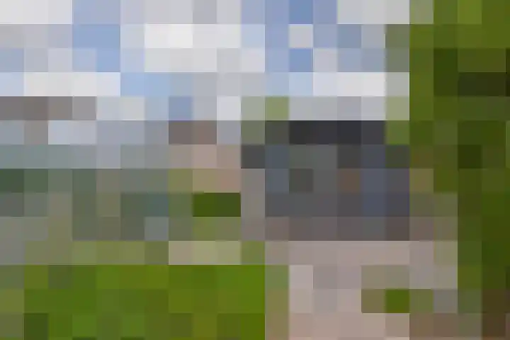 Hertog Jan van Beierenlaan 59 Nieuwe-Tonge thumbnail 38