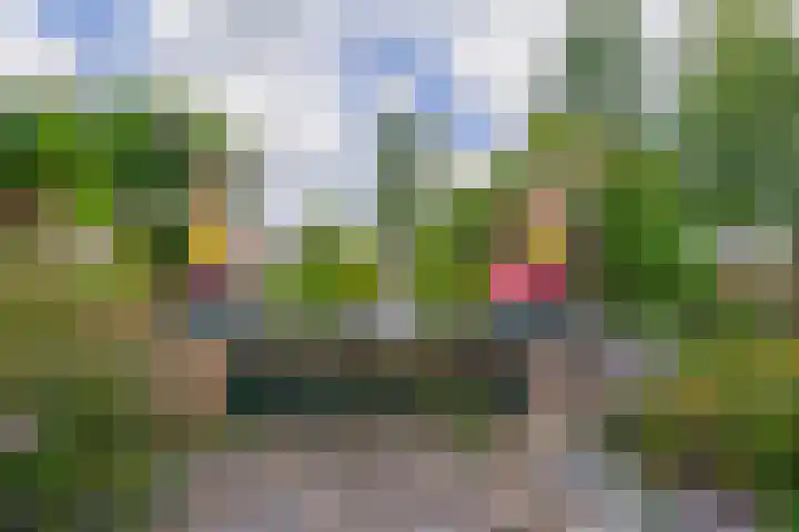 Hertog Jan van Beierenlaan 59 Nieuwe-Tonge thumbnail 42