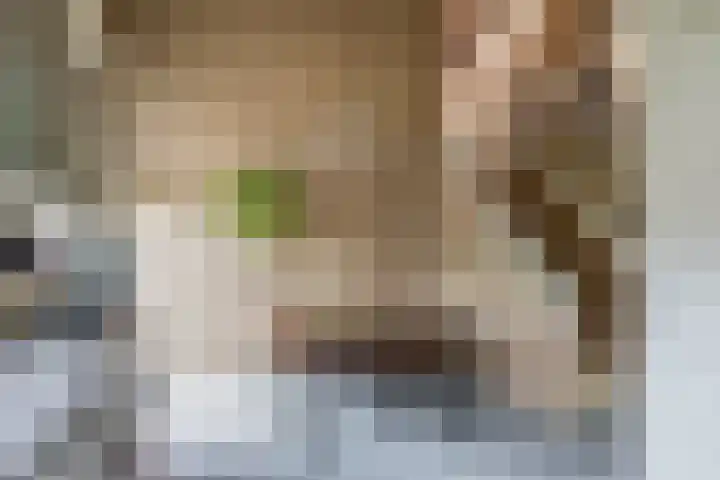 Hertog Jan van Beierenlaan 59 Nieuwe-Tonge thumbnail 8