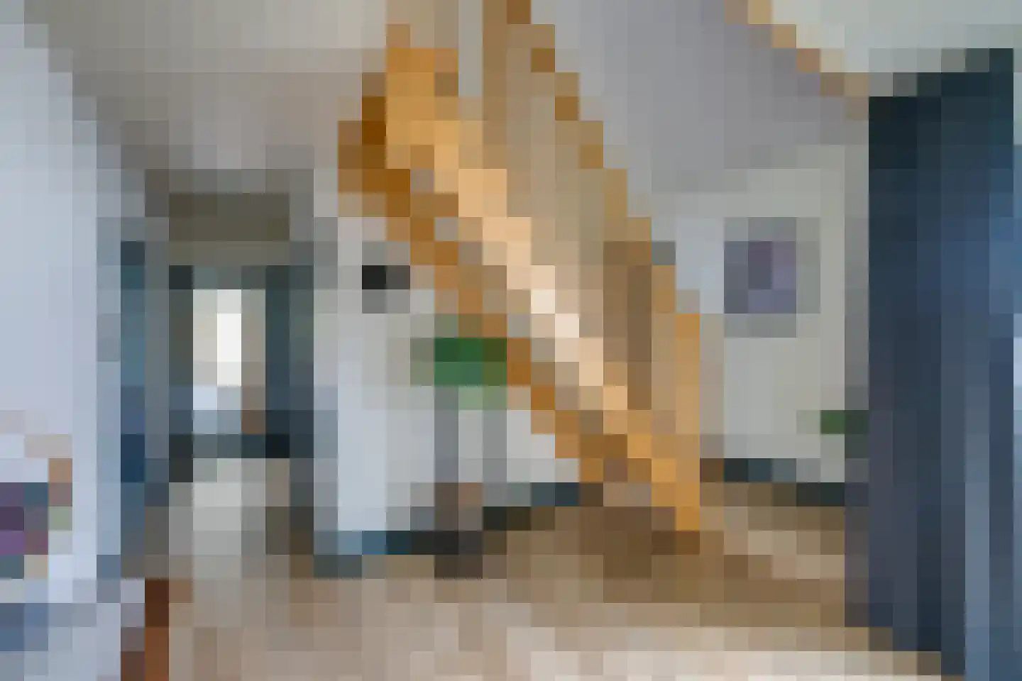 Hertog Janlaan 13 Sprundel thumbnail 11