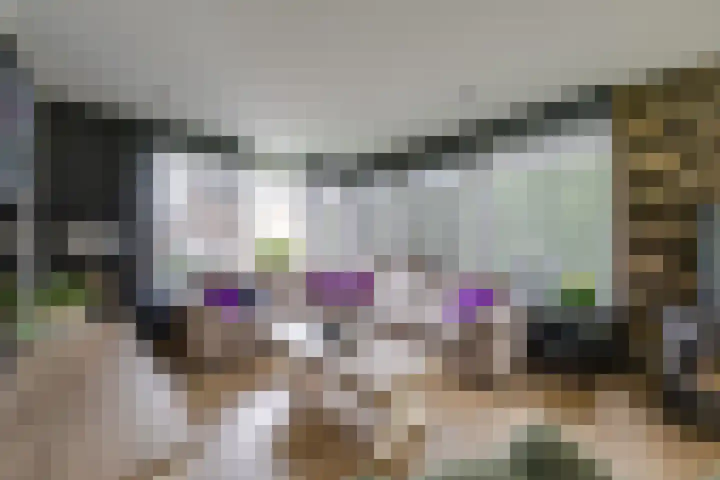 Hertog Janlaan 13 Sprundel thumbnail 13