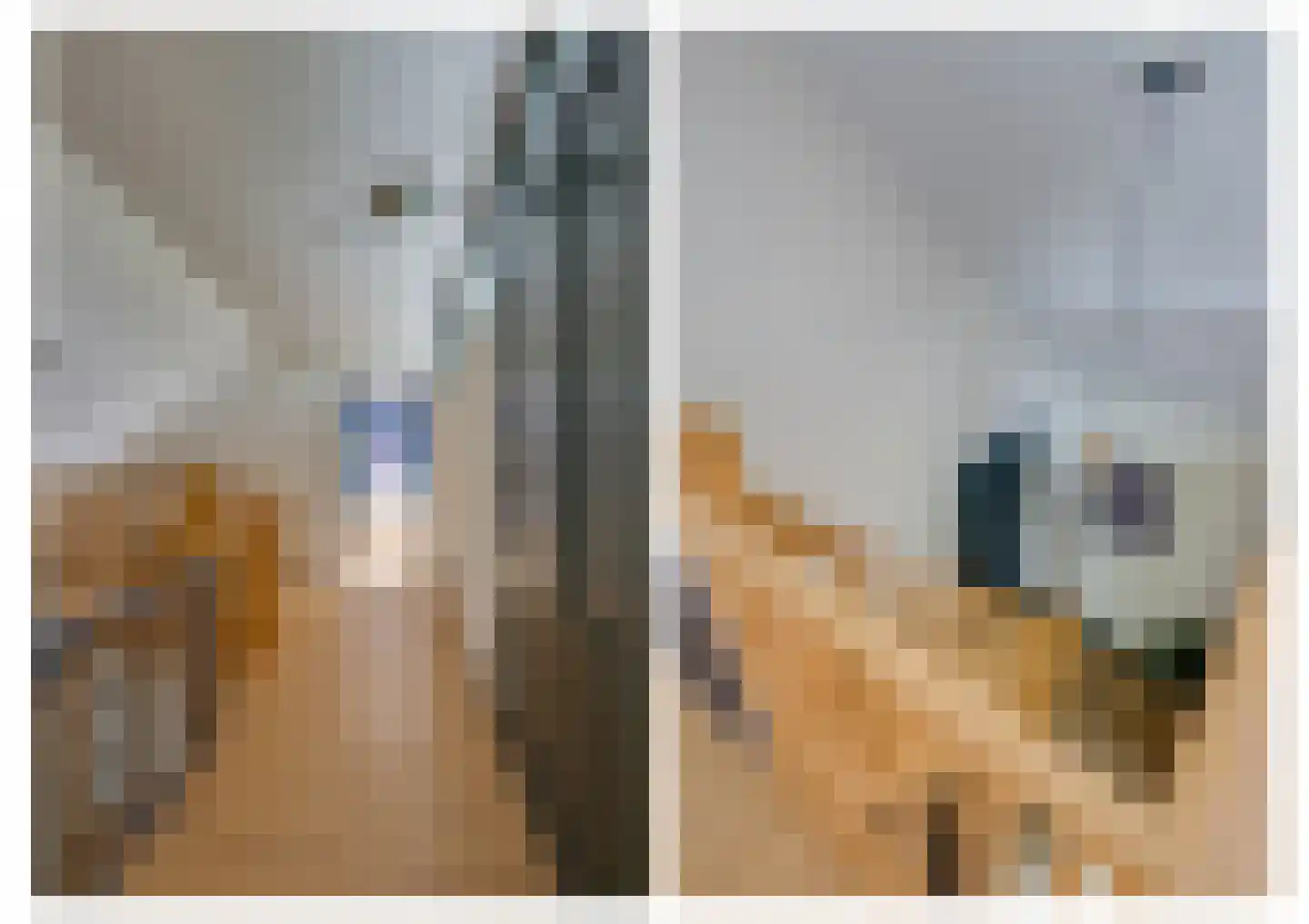 Hertog Janlaan 13 Sprundel thumbnail 30