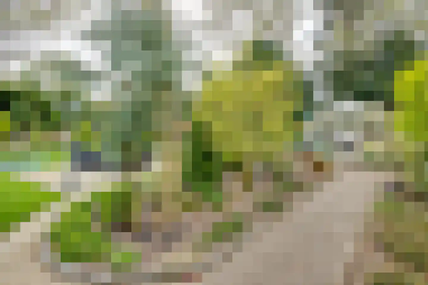 Hertog Janlaan 13 Sprundel thumbnail 45