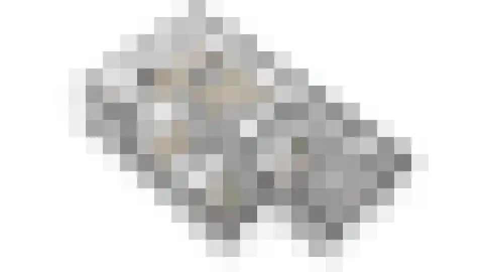 Hertog Janlaan 13 Sprundel thumbnail 54