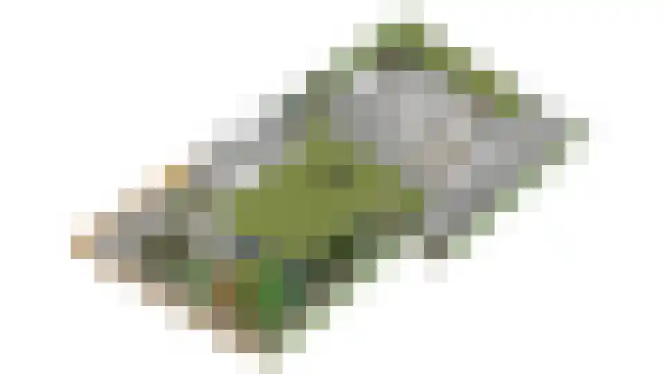 Hertog Janlaan 13 Sprundel thumbnail 68