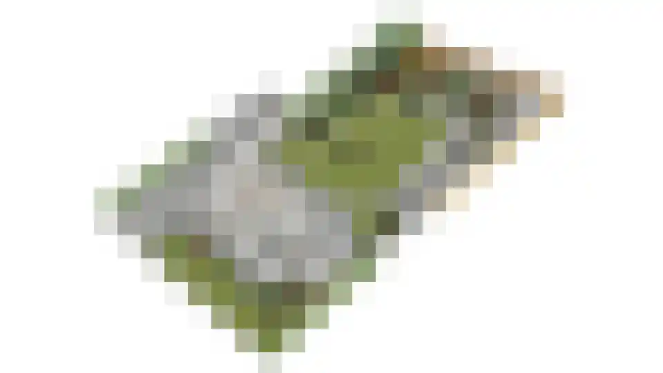 Hertog Janlaan 13 Sprundel thumbnail 69