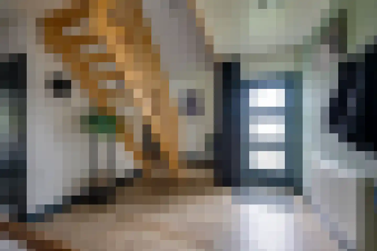 Hertog Janlaan 13 Sprundel thumbnail 9