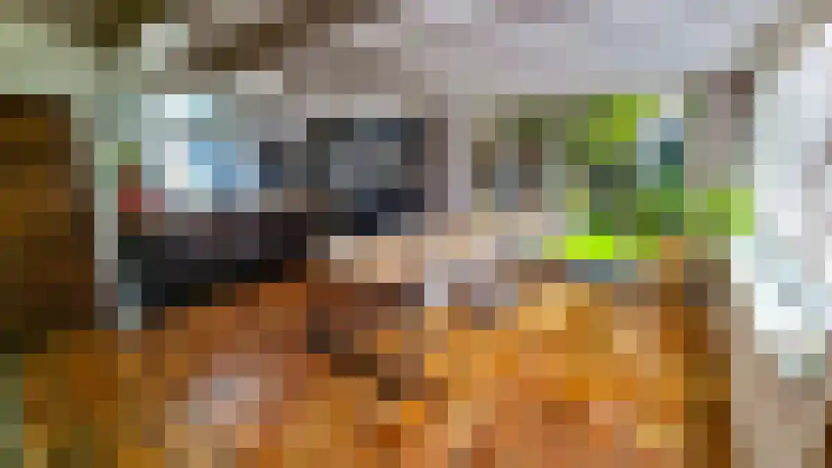 Hertog Janlaan 14 Oisterwijk thumbnail 4