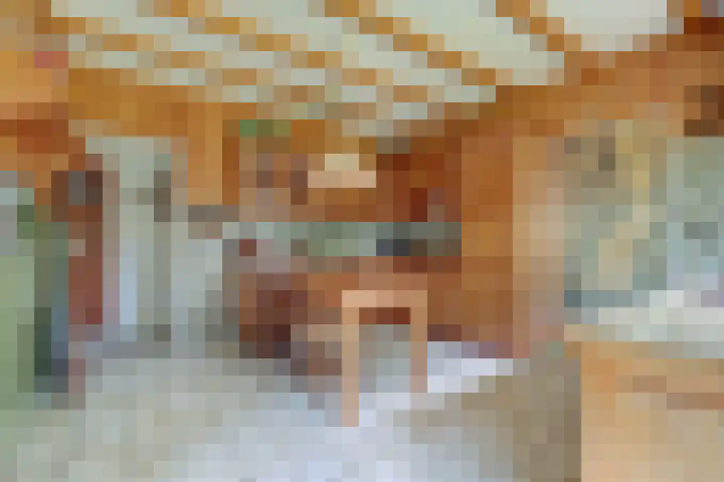 Hertog Janlaan 25 Sprundel thumbnail 24