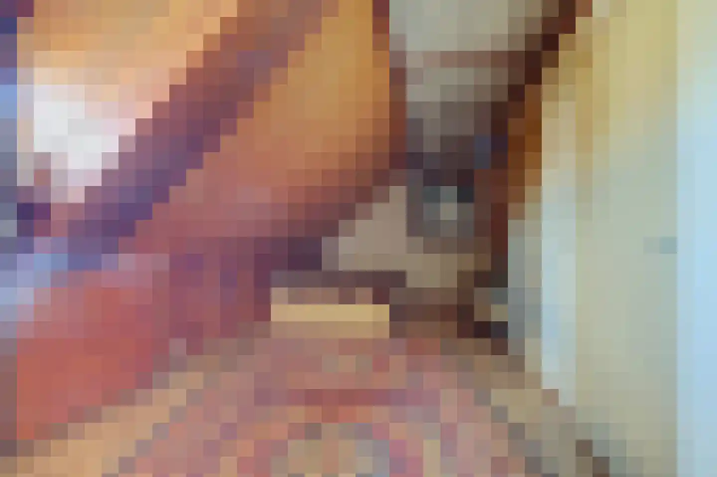 Hertog Janlaan 25 Sprundel thumbnail 34