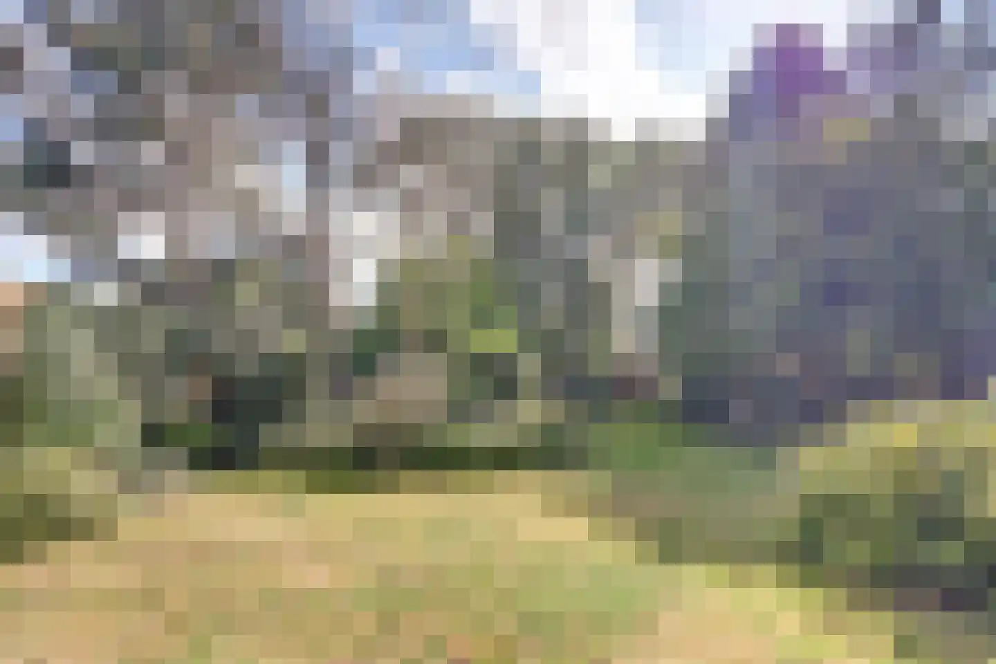Hertog Janlaan 25 Sprundel thumbnail 4