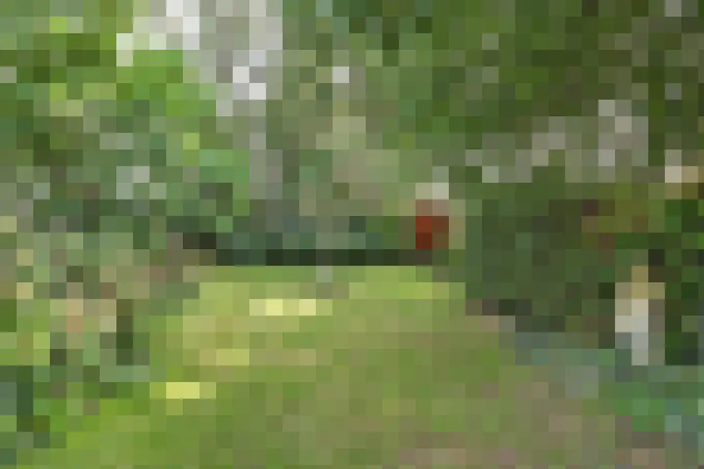 Hertog Janlaan 25 Sprundel thumbnail 46