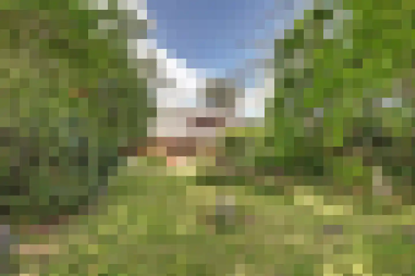 Hertog Janlaan 25 Sprundel thumbnail 47