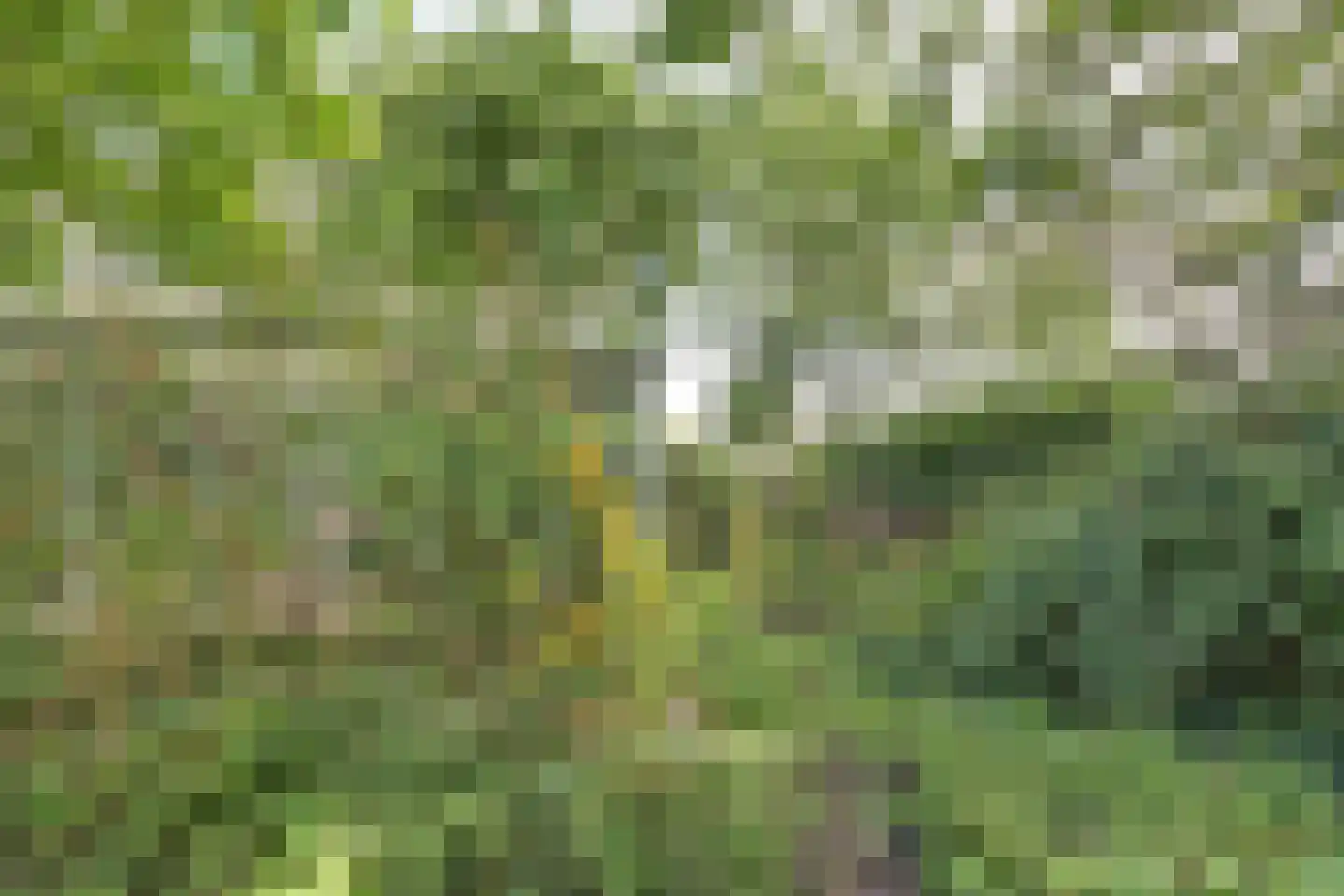 Hertog Janlaan 25 Sprundel thumbnail 48