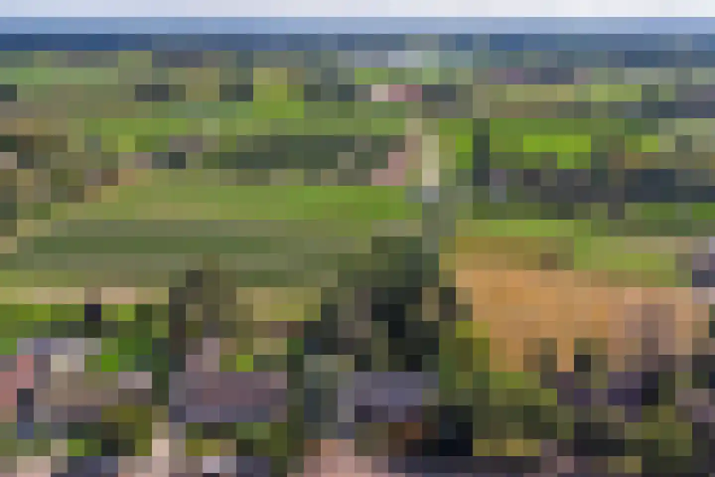 Hertog Janlaan 25 Sprundel thumbnail 5