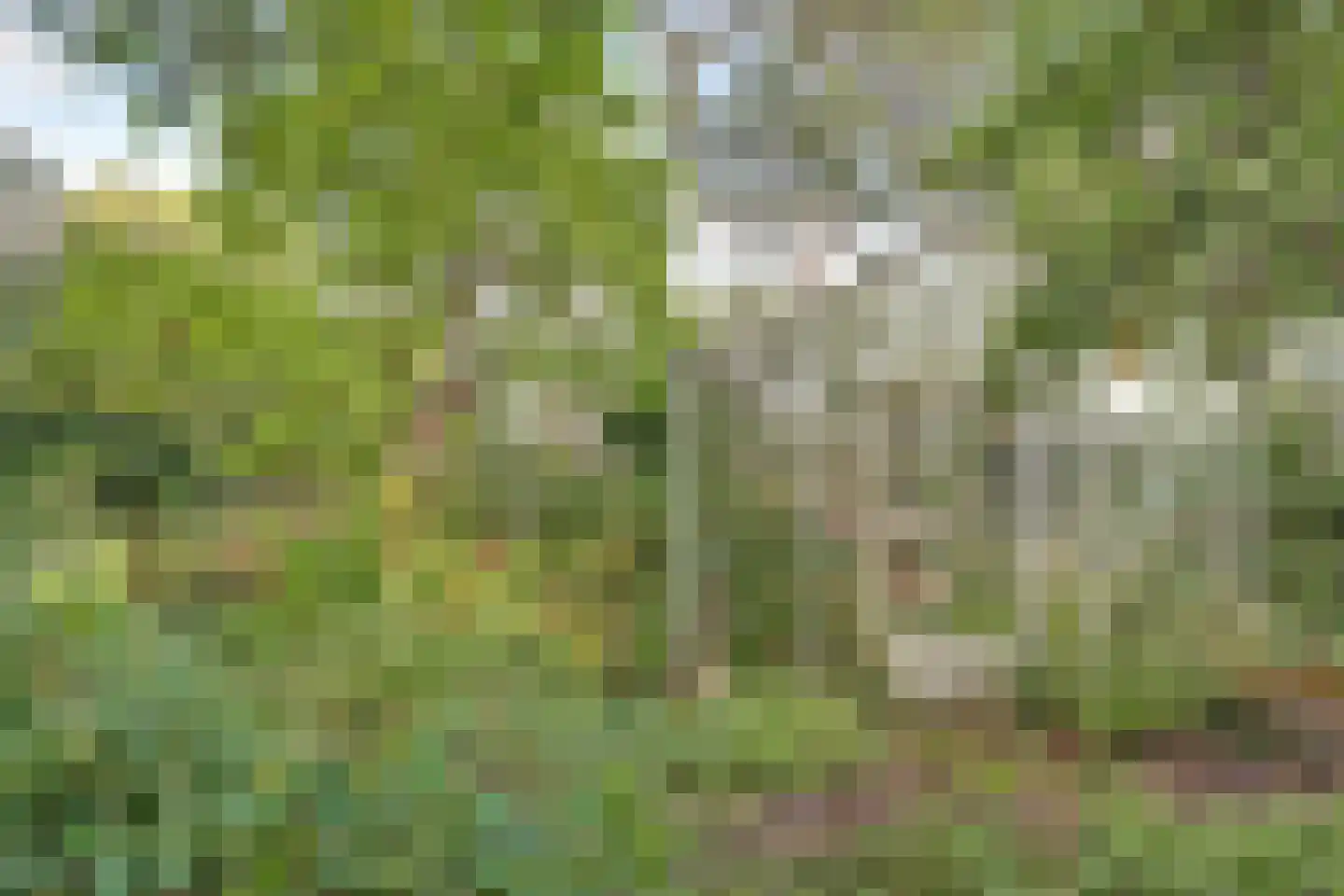 Hertog Janlaan 25 Sprundel thumbnail 50