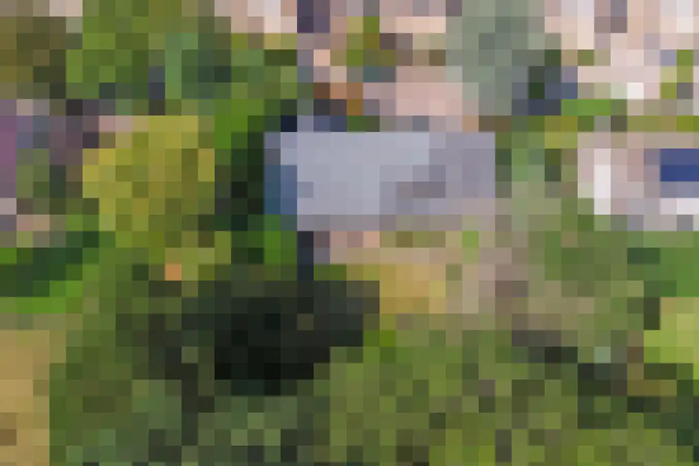 Hertog Janlaan 25 Sprundel thumbnail 58