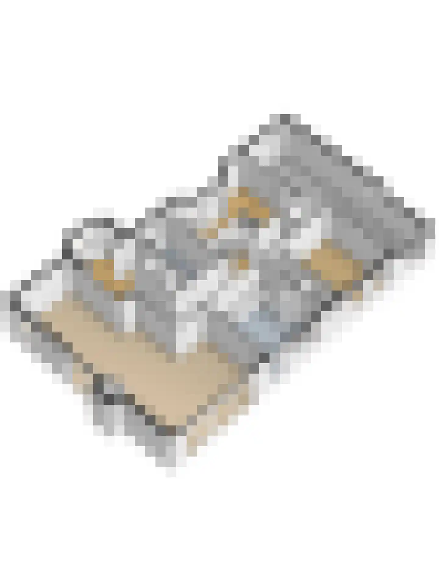 Hertog Janlaan 25 Sprundel thumbnail 64
